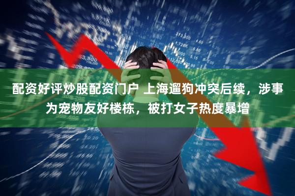 配资好评炒股配资门户 上海遛狗冲突后续，涉事为宠物友好楼栋，被打女子热度暴增