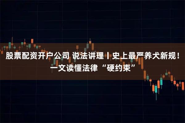 股票配资开户公司 说法讲理丨史上最严养犬新规！一文读懂法律 “硬约束”